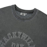 FRONT GRAPHIC PIGMENT SWEATSHIRT