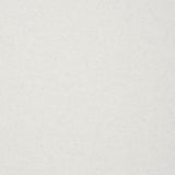 WACKY WILLY TYPO SWEATSHIRT