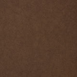 WOMEN'S LILLY CIRCLE GRAPHIC OVER FIT SWEATSHIRT