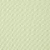 [GISELLE着用] WOMEN'S BIG LILY SEMI-OVER HOODIE