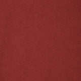 【予約｜10月上旬発送】HOODIE SWEATSHIRT WITH NECK DETAIL - RED
